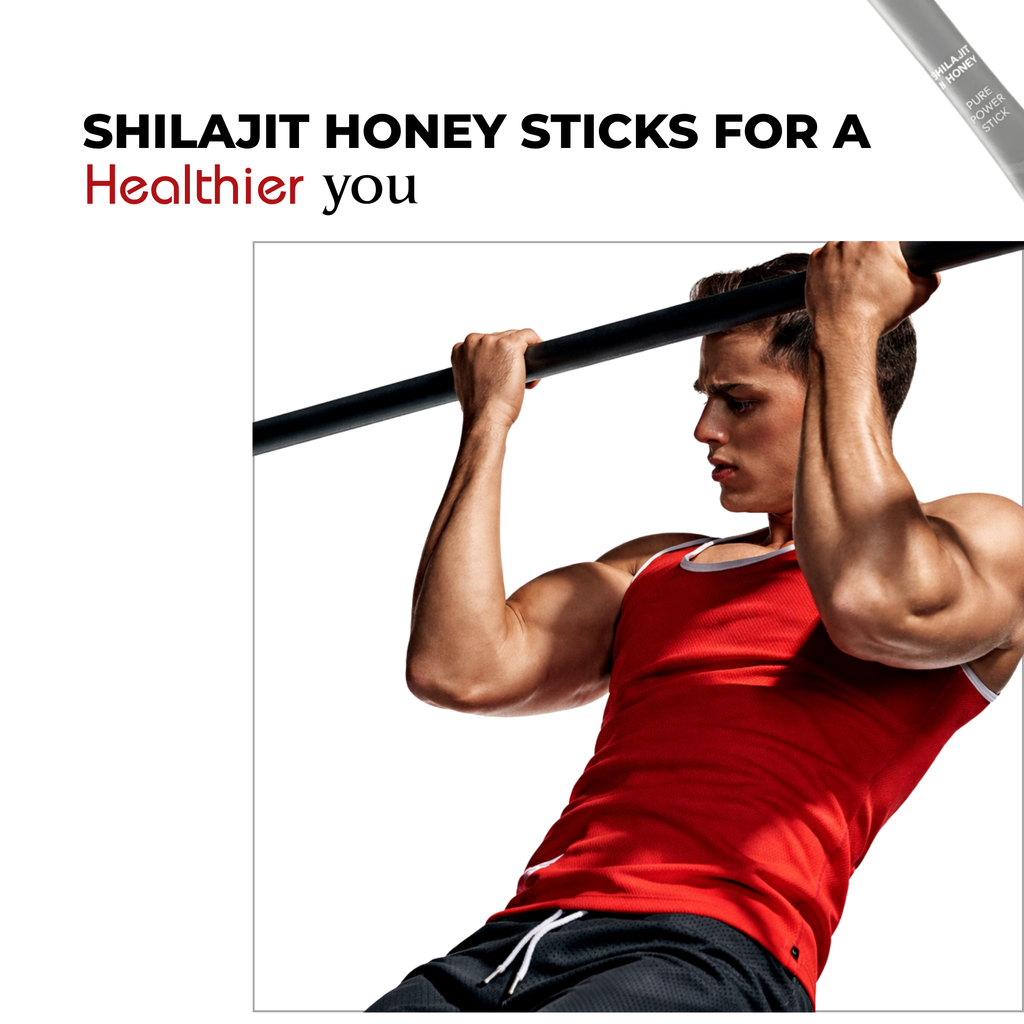 SHILAJIT HONEY STICKS PRO